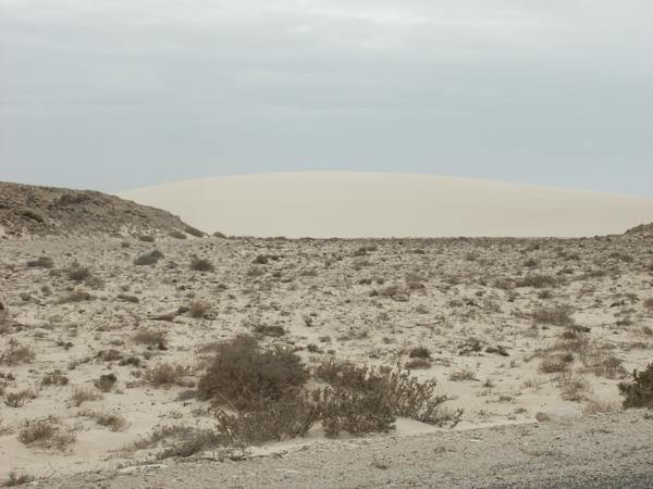 Désert entre Maroc et Mauritanie